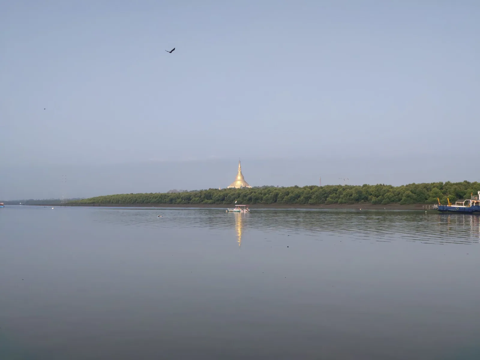 Mangrove walk at Gorai